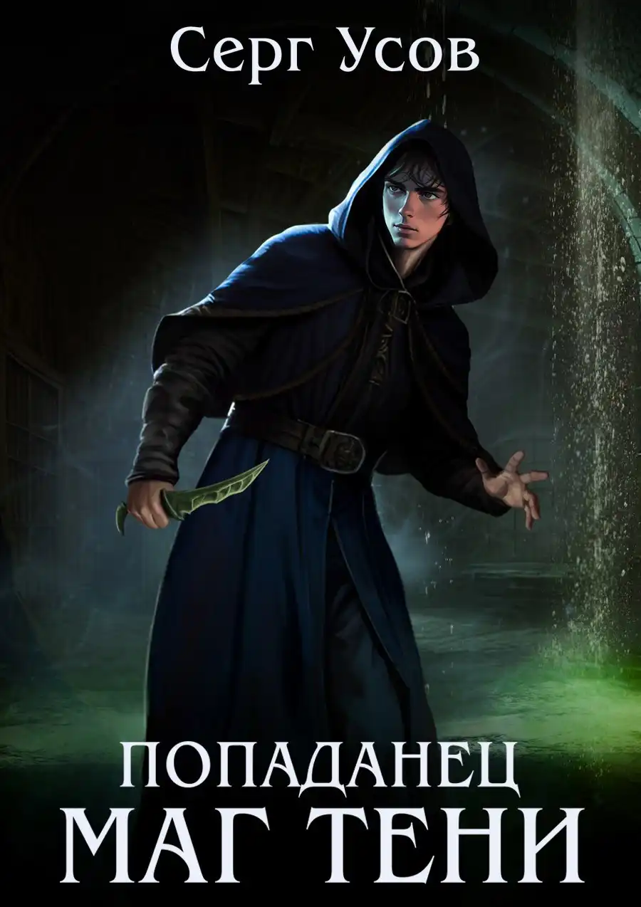 Попаданец. Маг Тени. Книга 11